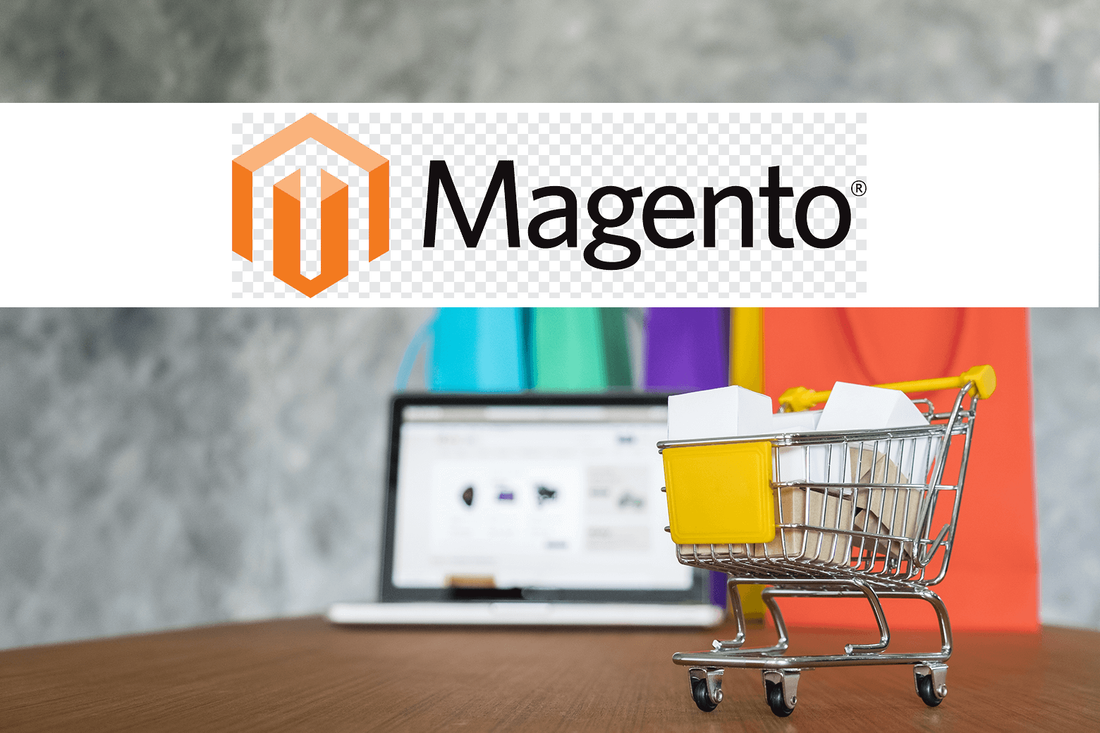 What Are the Costs to Operate a Magento Store in 2020?