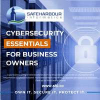 How Safe Harbour Safeguard the Cyber and Critical Infrastructurecyber security &  IT services for Business owners. Cyber Security KPI Safe Harbour's Virtual CISO, Cybersecurity  for Critical Infrastructure, CISSP  