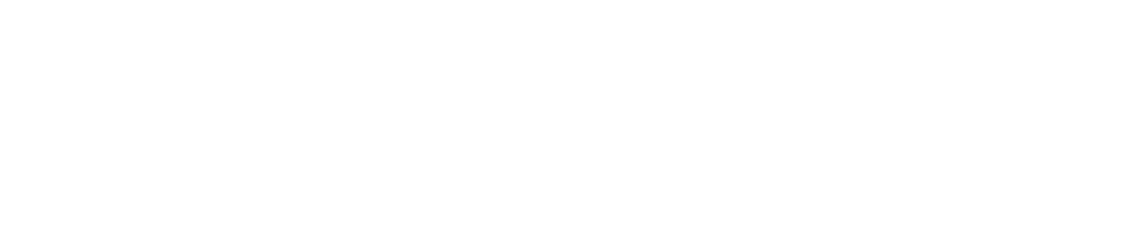 Safe Harbour Informatics 